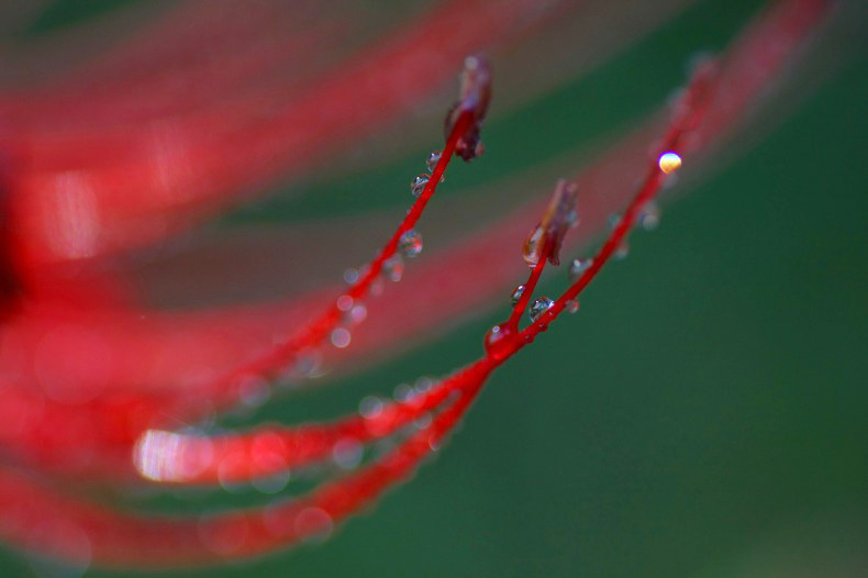 　　　小雨の後で　　3