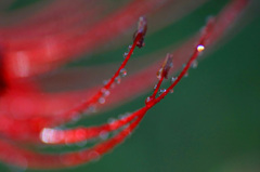 　　　小雨の後で　　3