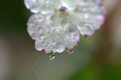 　　　雨の余韻　　2