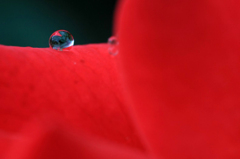 　　　雨の宝石