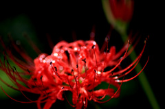 　　　小雨の後で　　2