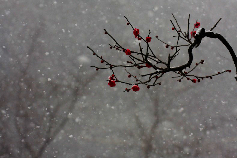 　　春の淡雪　1 