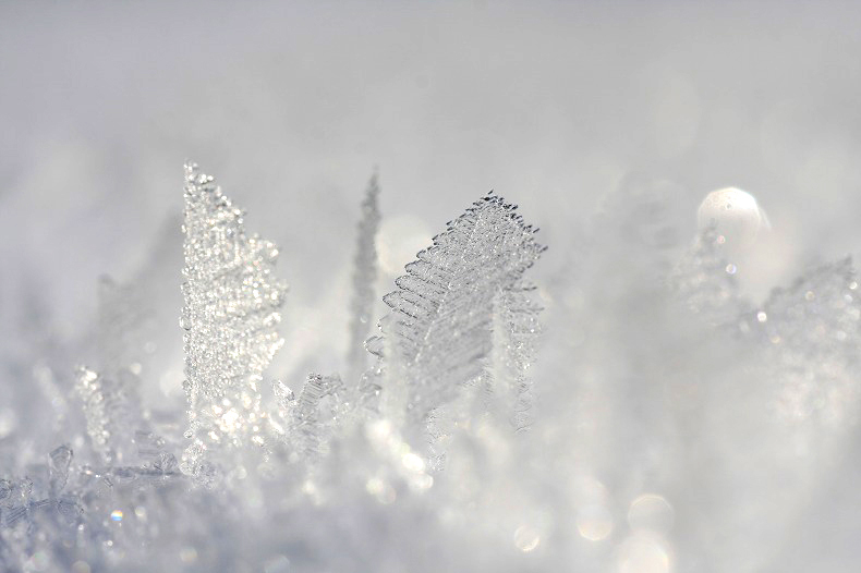 　　　雪の結晶　　1