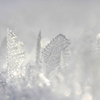 　　　雪の結晶　　1