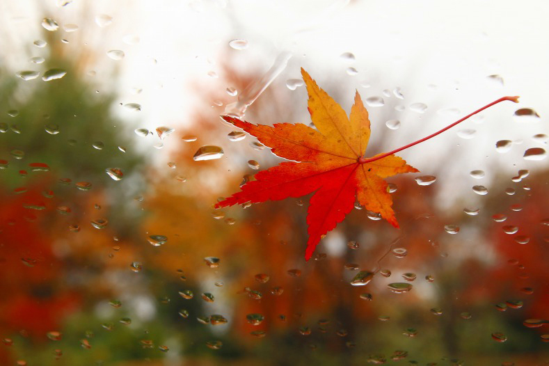 晩秋色模様　10