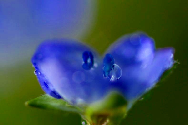 雨の余韻　(4　