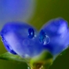 雨の余韻　(4　