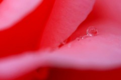 水玉の詩　(20