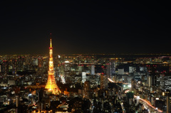 森ビル展望台から