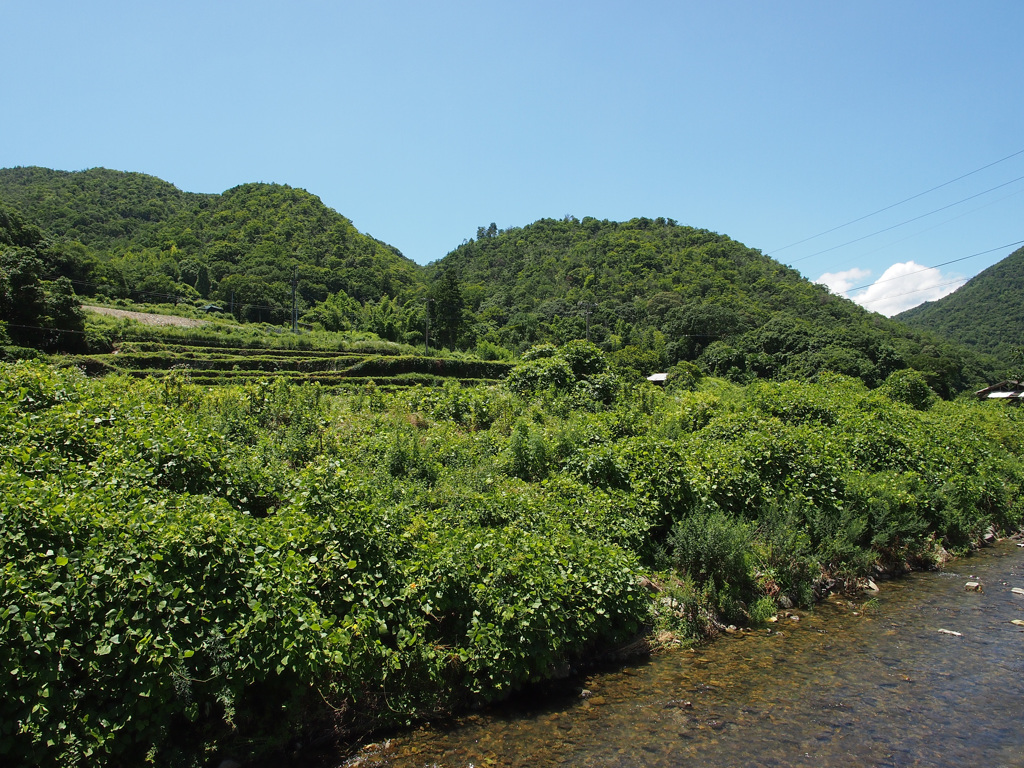 地元の風景