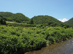 地元の風景