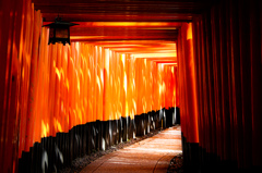 神聖な光