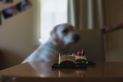 ケーキを狙う…