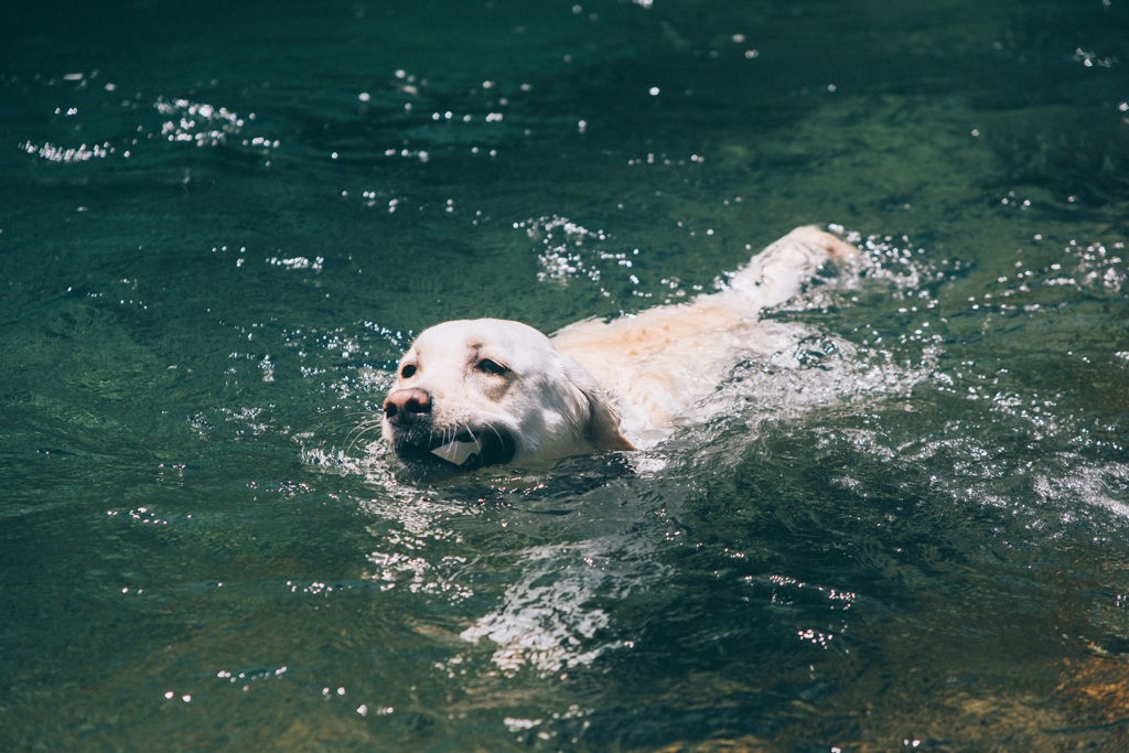 今年初の大きな川へ…