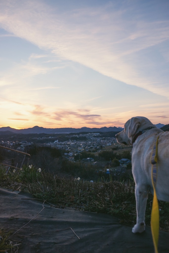 夕陽を見に行った土曜日…