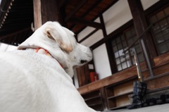 法事