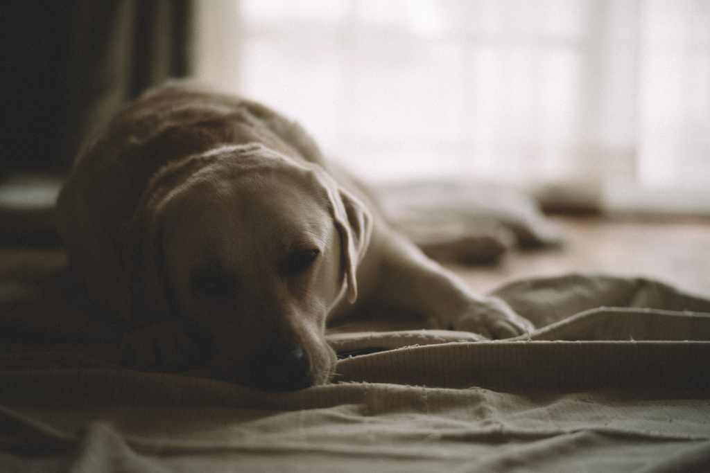 もうすぐ夏休み…