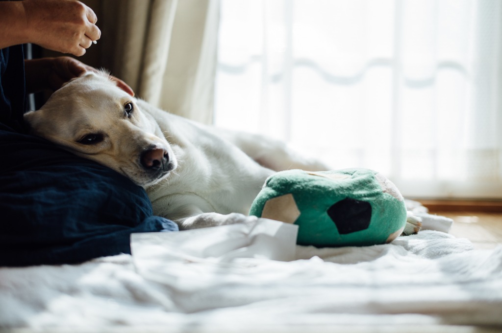 耳かきはちょっと怖い…