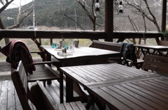 犬とのランチ…