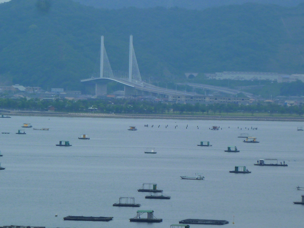 海