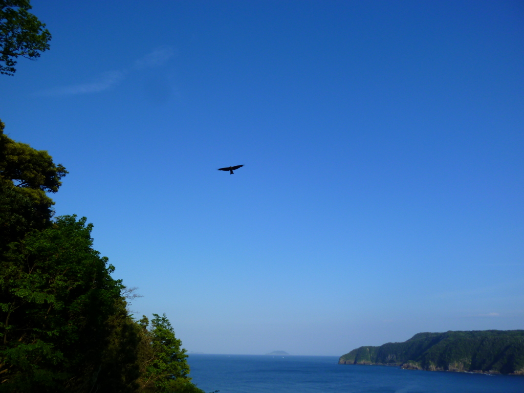 私も青空を飛んでみたい