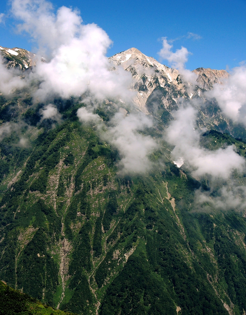 夏山