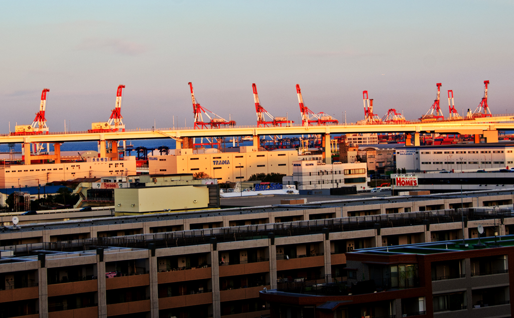 YOKOHAMA　SAVANNA