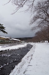 雪の洗沢川2