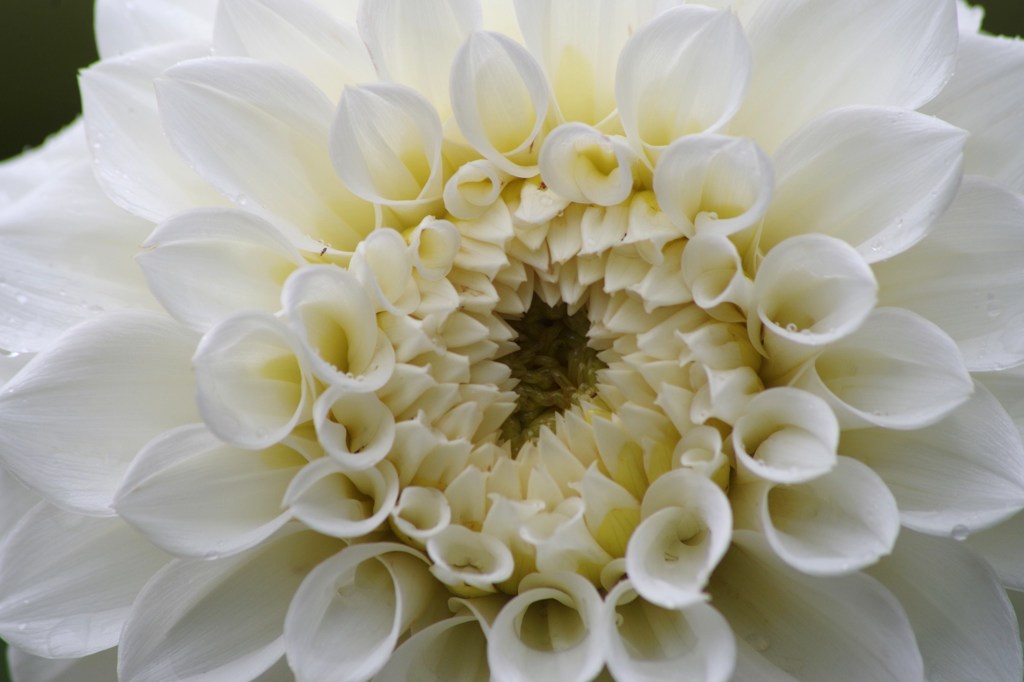 絆