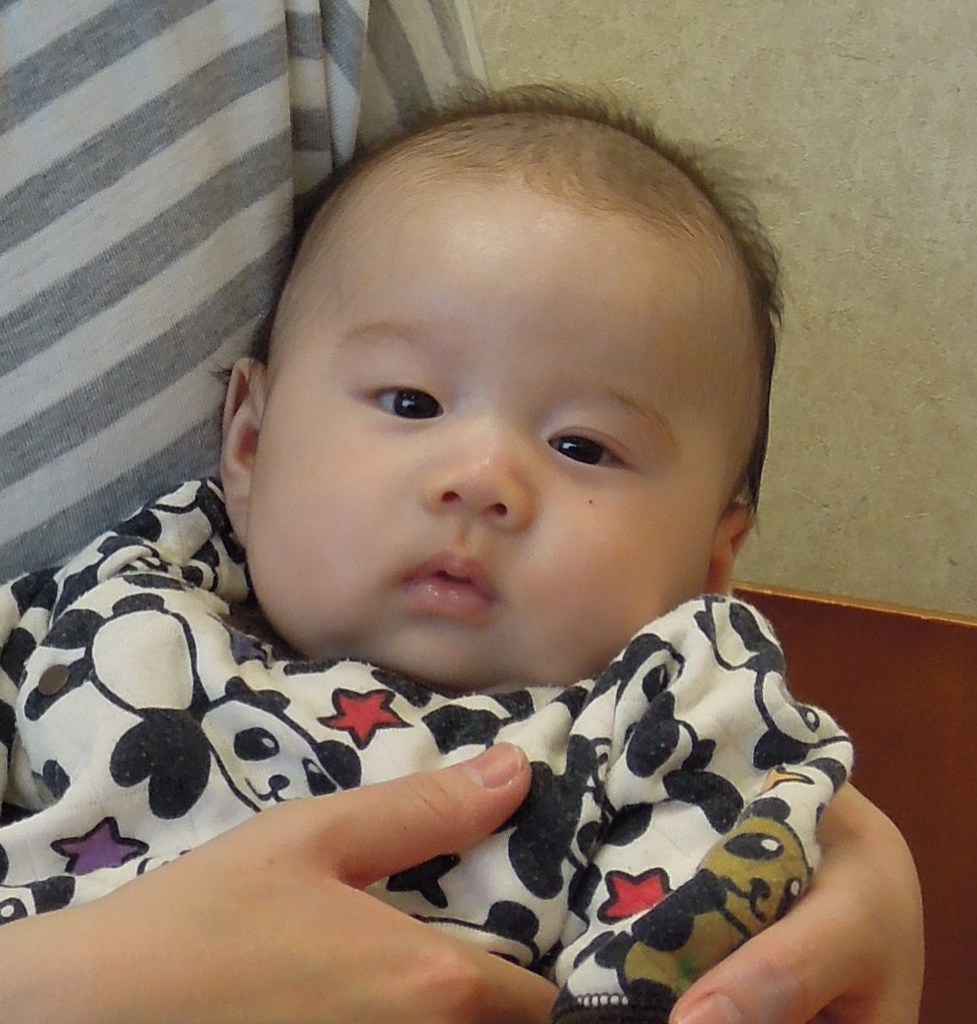 じっと見つめて