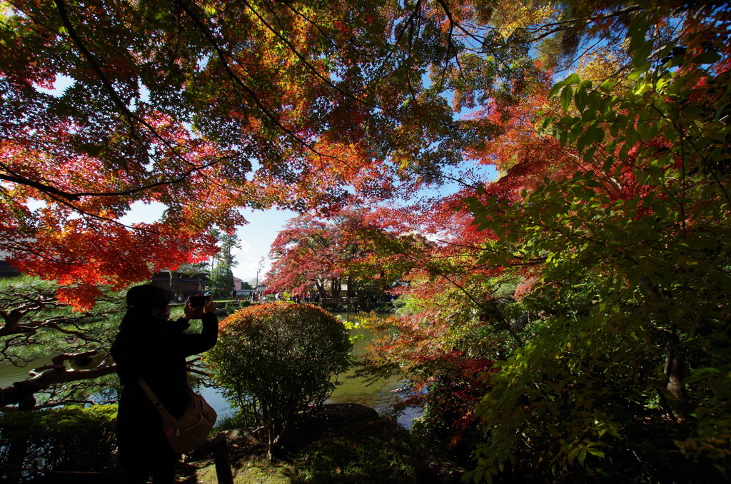 もみじ公園は秋彩-2