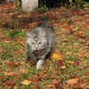 お～餌くれるってか～