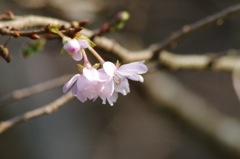 秋の陽の中で-3
