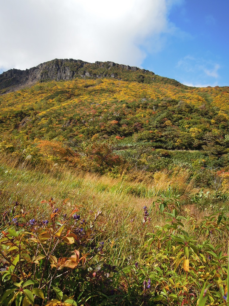 鉄山の裾が色づく