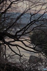 広瀬川暮色-2
