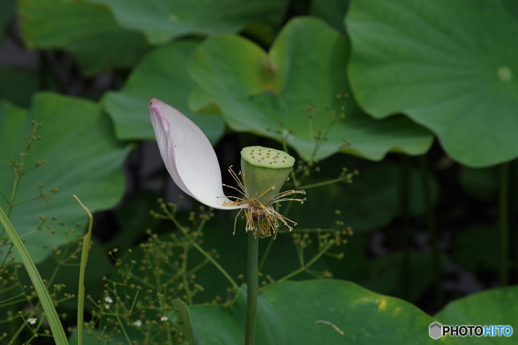 また見てね!バイバイ!