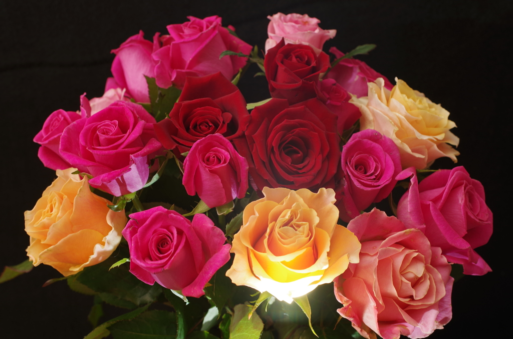 夜の薔薇スタジオ・3
