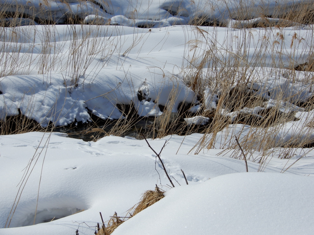 川原の雪景色-2