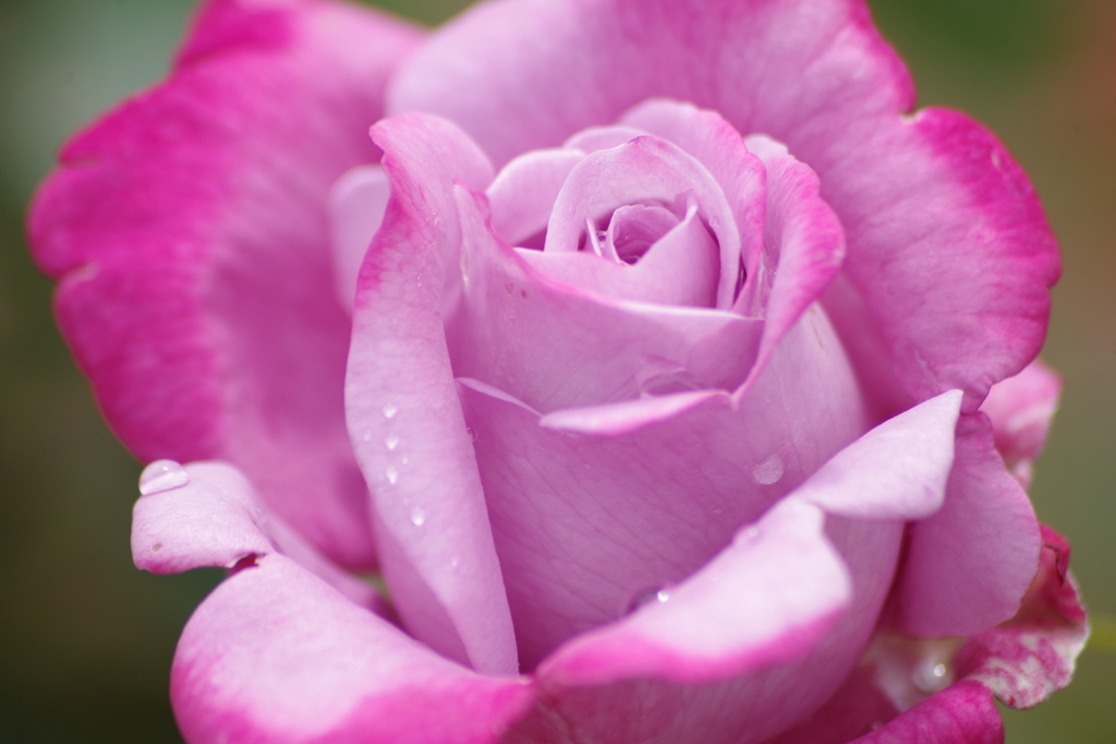 6/16 年の暮れにブルーリバー