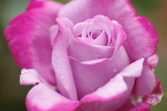 6/16 年の暮れにブルーリバー