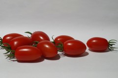 完熟トマト-3