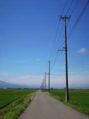 朝から青空