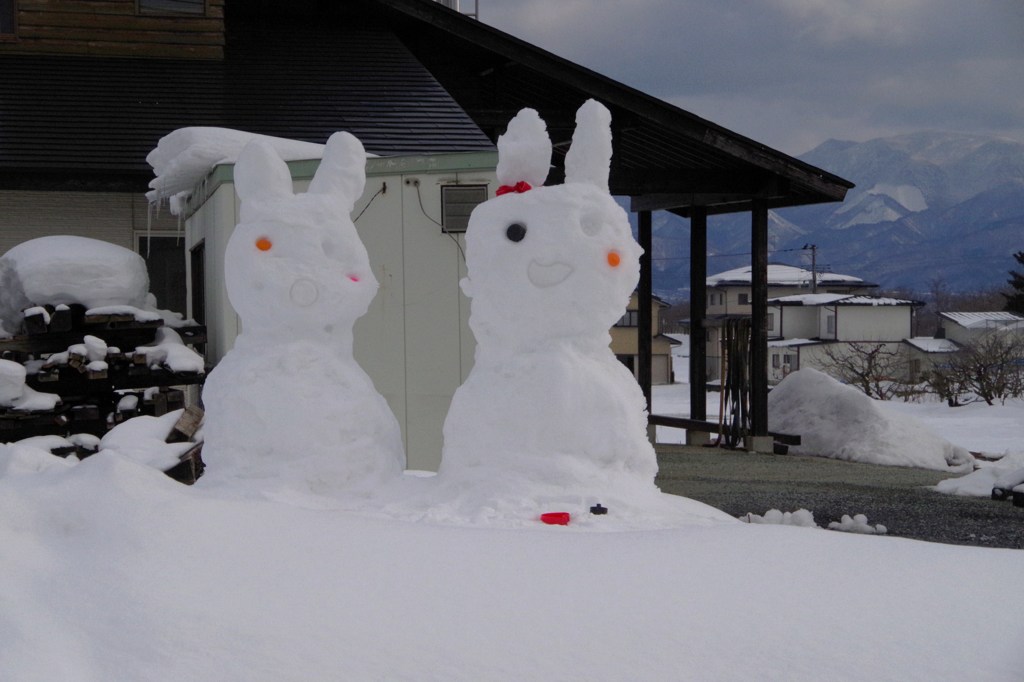 雪うさぎさんがコンニチハ