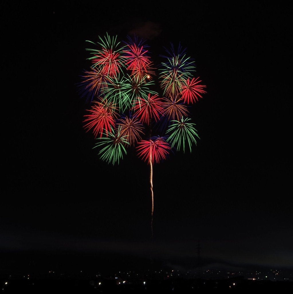 夜空に小花が咲いた-4