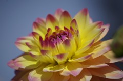 プリティベイビー