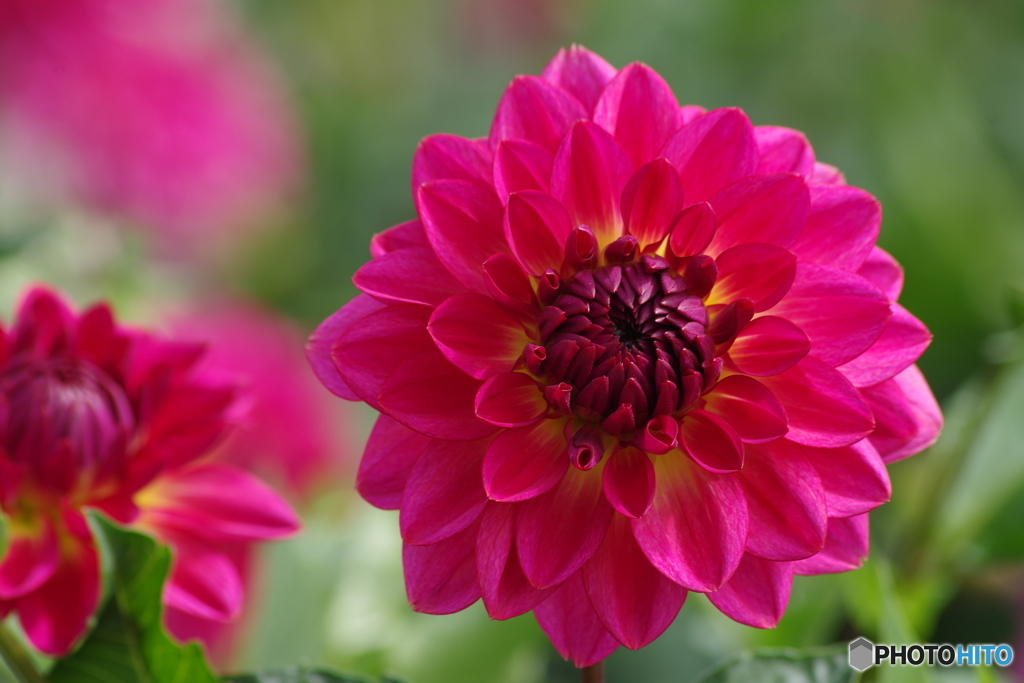 秋の忘れ物‐光華