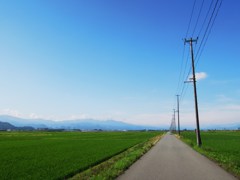 朝から青空-2