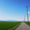 朝から青空-2
