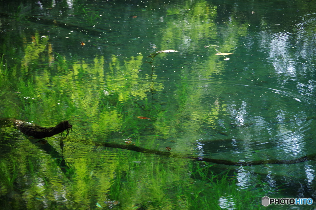 青と緑の神の池－丸池様9