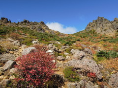 牛の背からの下山途中